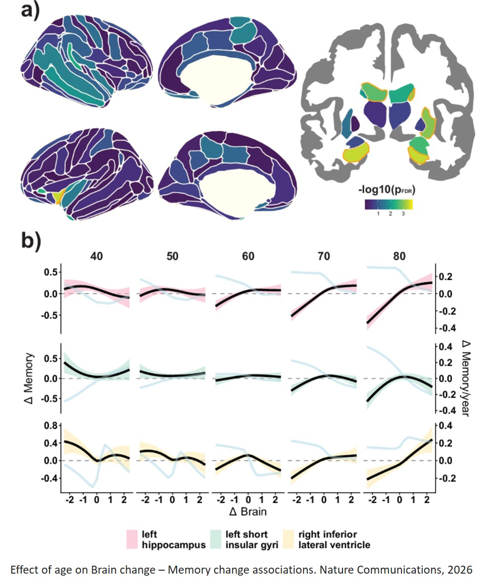 Vulnerability to memory decline in aging revealed by a mega-analysis of structural brain change