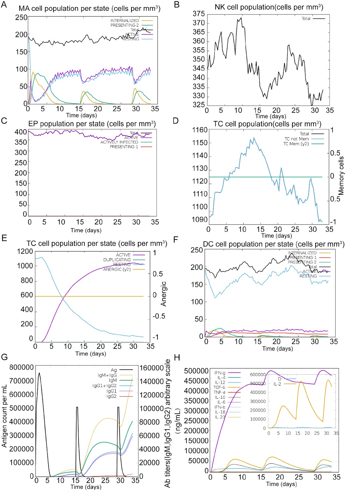 A Mycobacterium tuberculosis multi-epitope DNA vaccine encoding adaptive immune antigens provokes IFNγ/Th1 immunity and confers potential protection