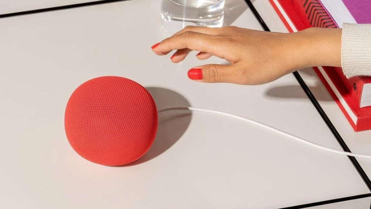 Loa Google Home chạy Gemini được bán với giá 100 USD - Báo Tri thức &amp; Cuộc sống