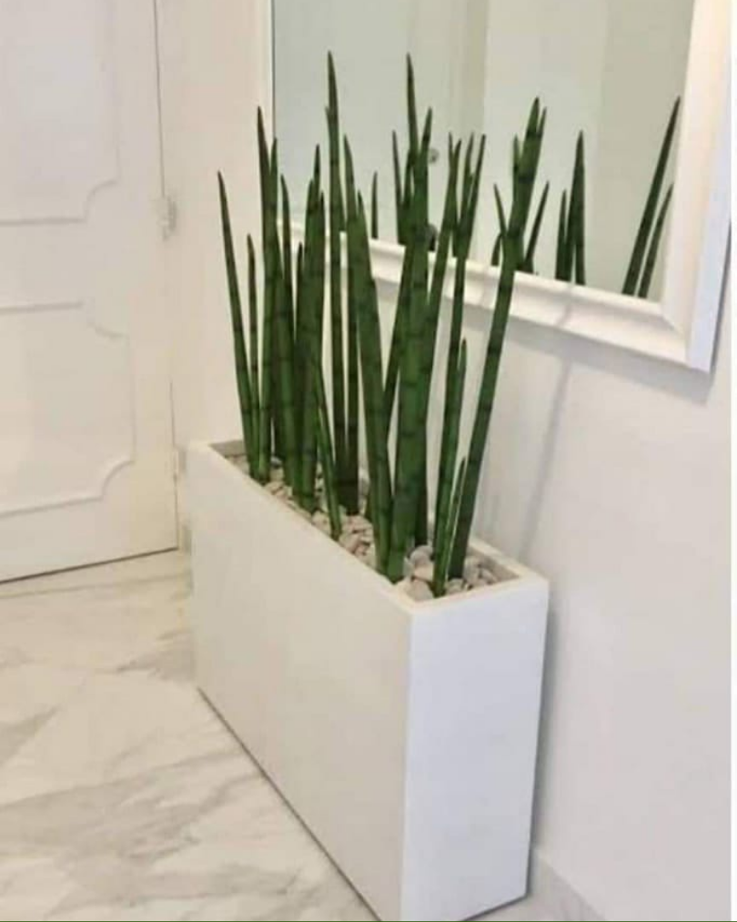 WMS concrete pot design 46