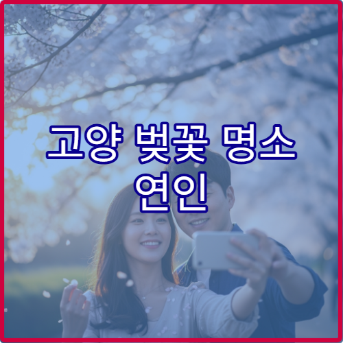 고양 벚꽃 명소 연인 평지 산책 구간과 로맨틱 스팟