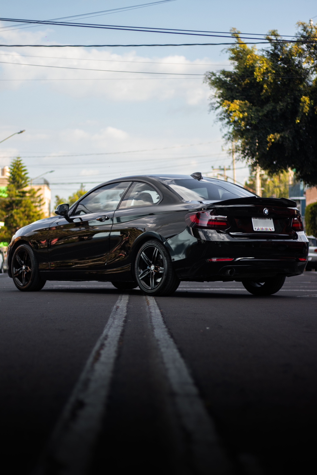 BMW 220i · Baño de Pintura 1