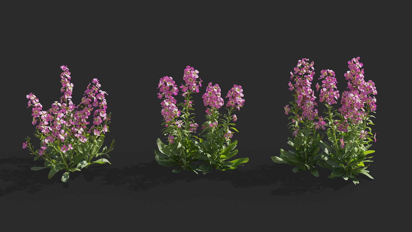 Maxtree - Plant Models Vol.64