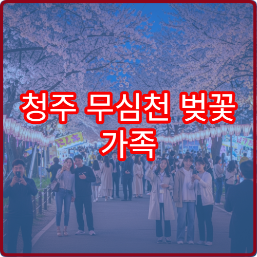 청주 무심천 벚꽃 가족 피크닉 강변 명당 위치 추천