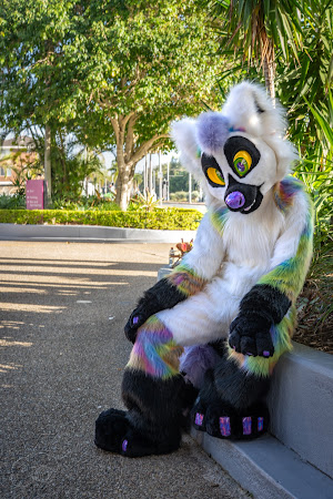 furdu-04040.jpg