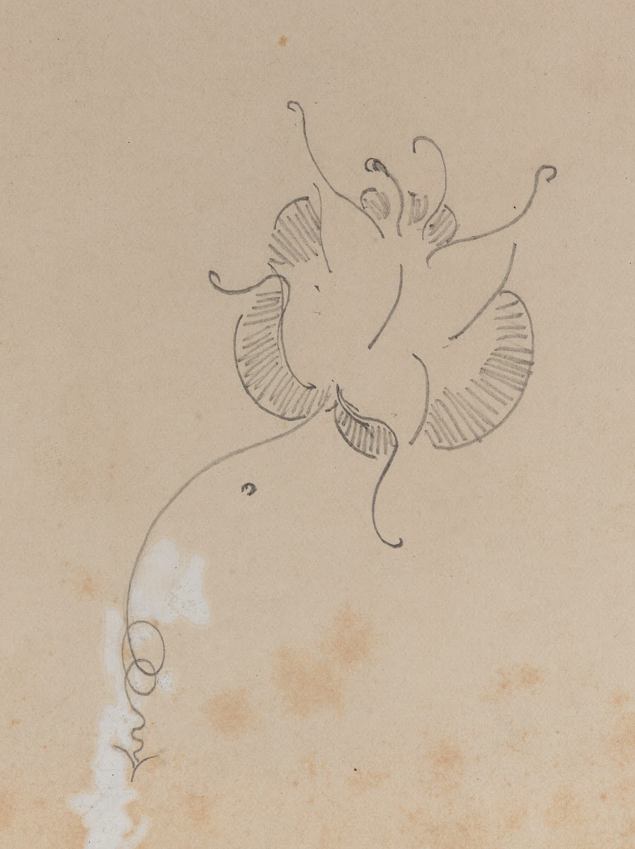 Whistlers Butterfly 1886