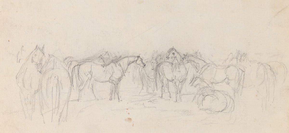 Group of horses