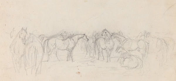 Group of horses