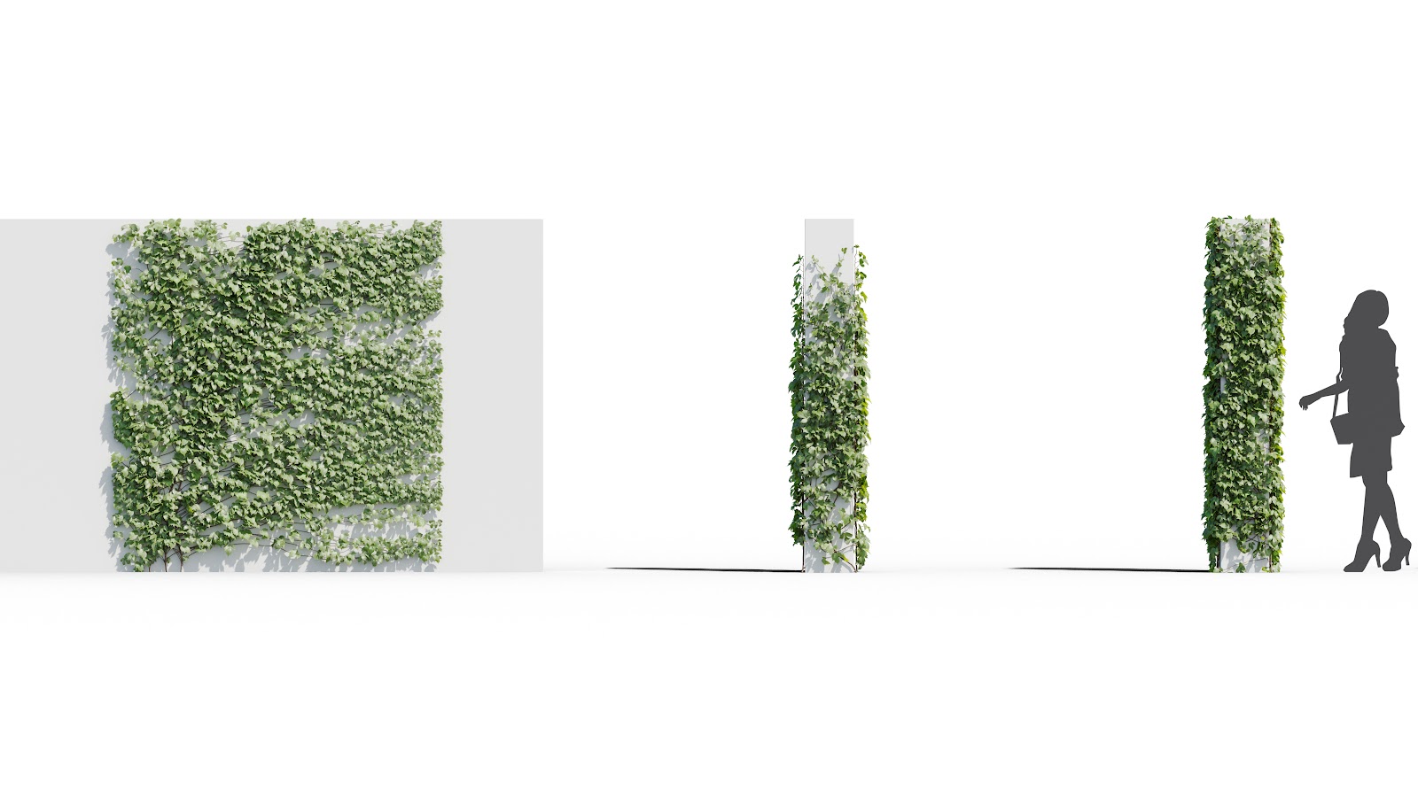Maxtree - Plant Models Vol.37