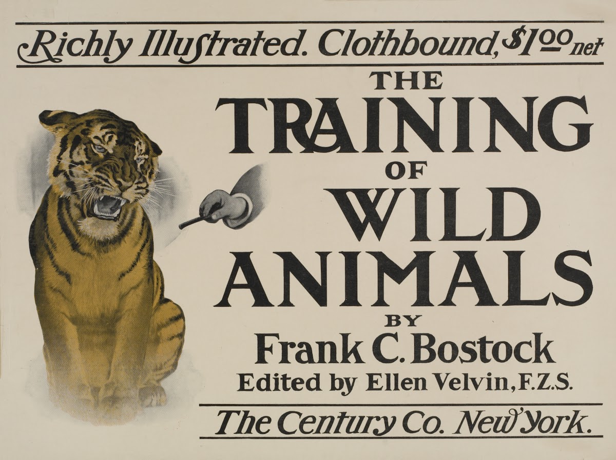 The training of wild animals 1895 1911