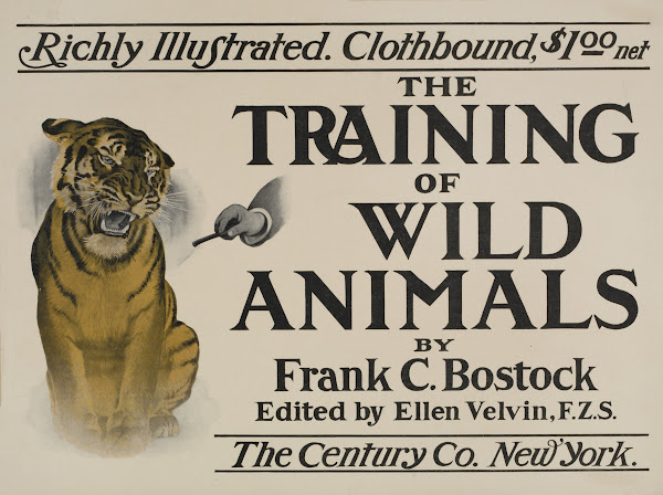 The training of wild animals 1895 1911