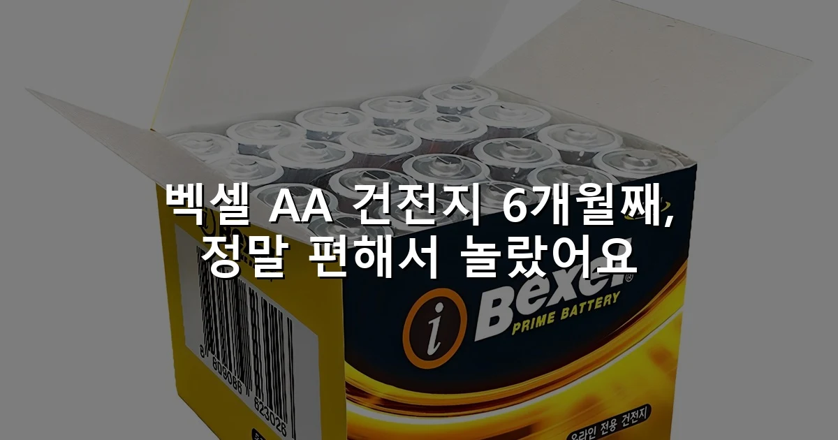 벡셀 AA 건전지 6개월째, 정말 편해서 놀랐어요