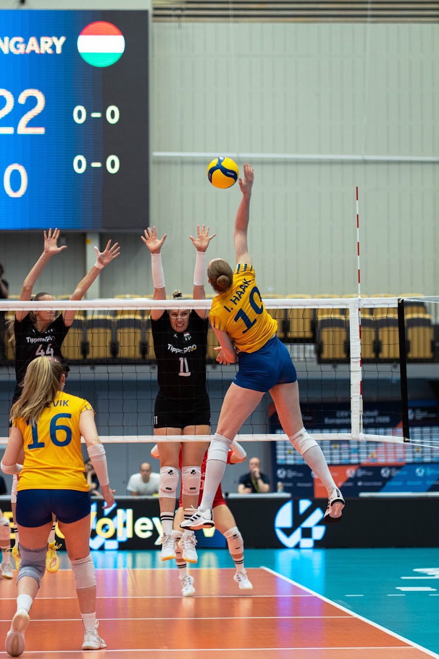 Sweden Hungary 338