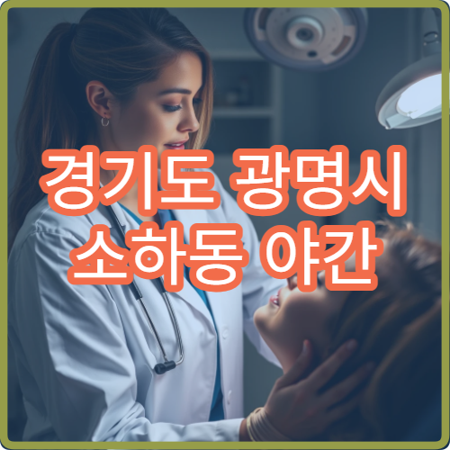 경기도 광명시 소하동 야간 내과 진료 병원 밤 진료 가능