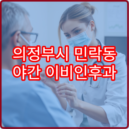 의정부시 민락동 야간 이비인후과 귀통증 중이염 진료 병원 정리