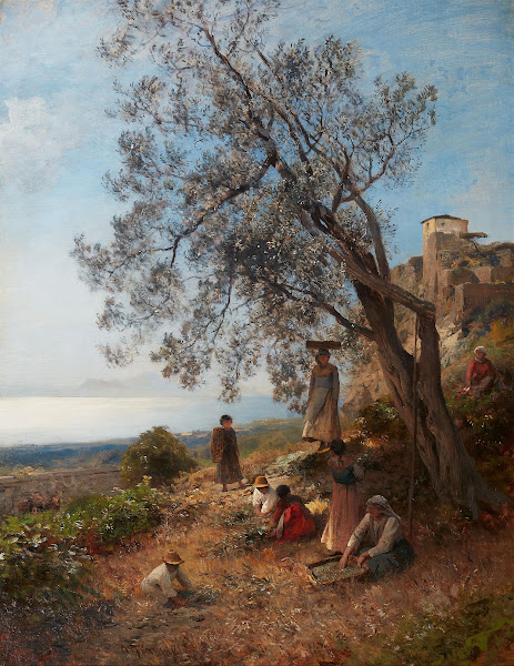 Olivenernte