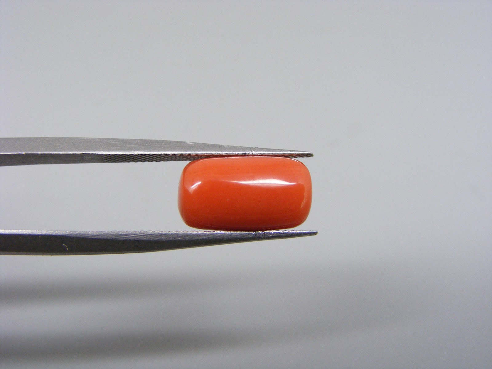 Natural Capsule Red Coral