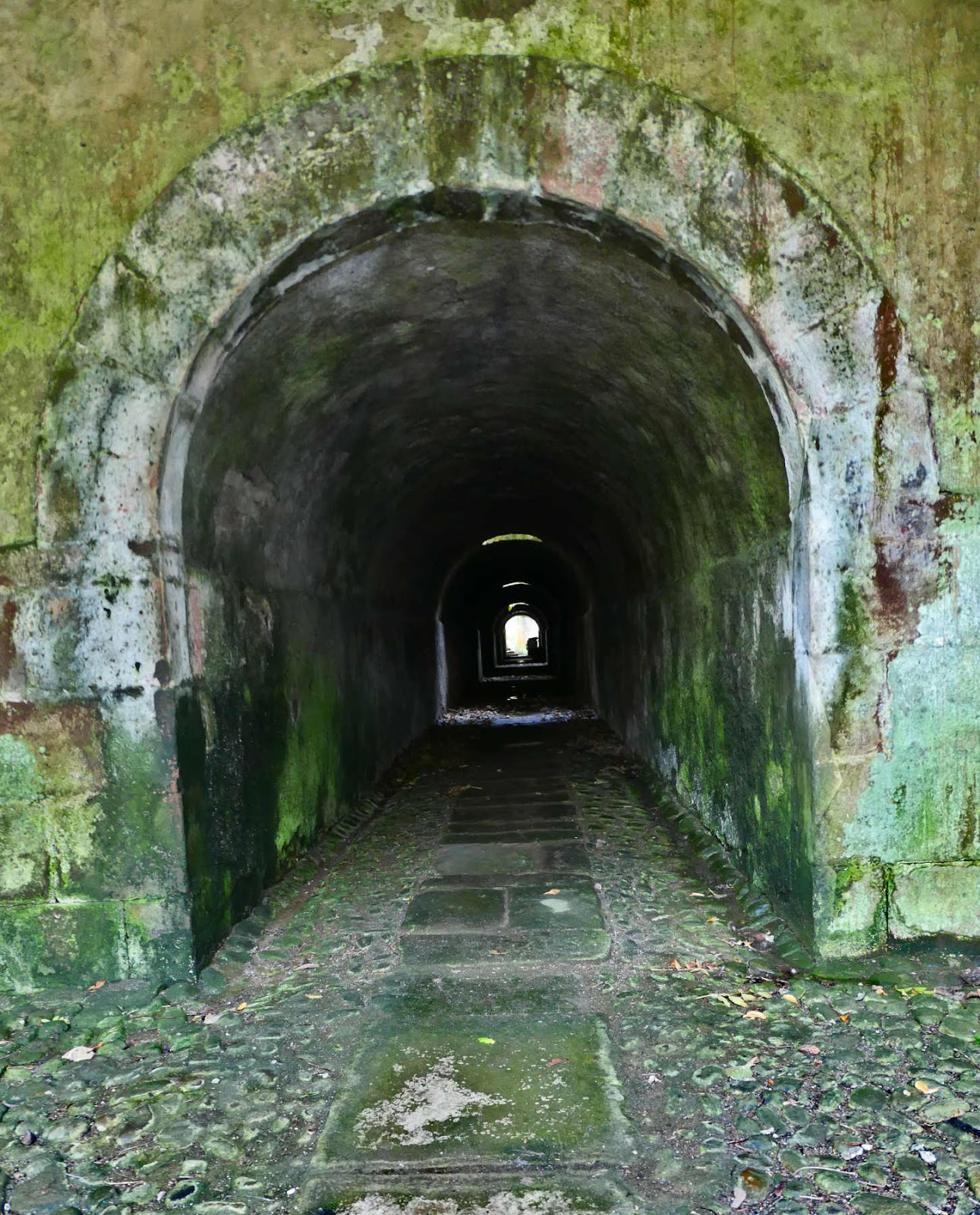 Bayfield_Cromarty_House_tunnel_20231025_9255.jpg