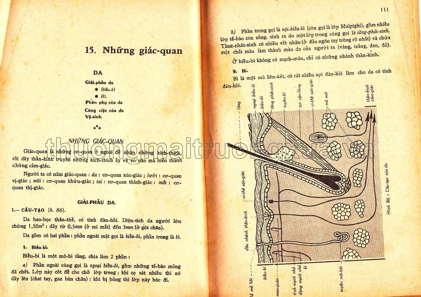 Vạn vật học lớp 9 (1971) - Trang 56