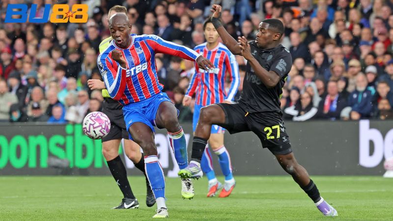 Lịch sử đối đầu giữa hai đội Sunderland vs Crystal Palace