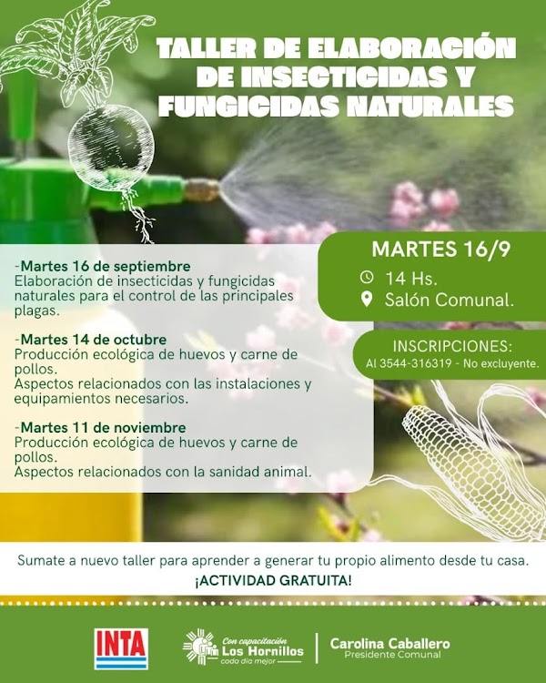 🌱🥬🫛Taller de Elaboración de Insecticidas y Fungicidas Naturales🌽🫑🥕