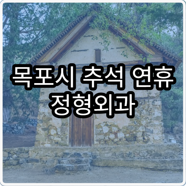 목포시 추석 연휴 정형외과 진료 병원 확인 및 예약 팁