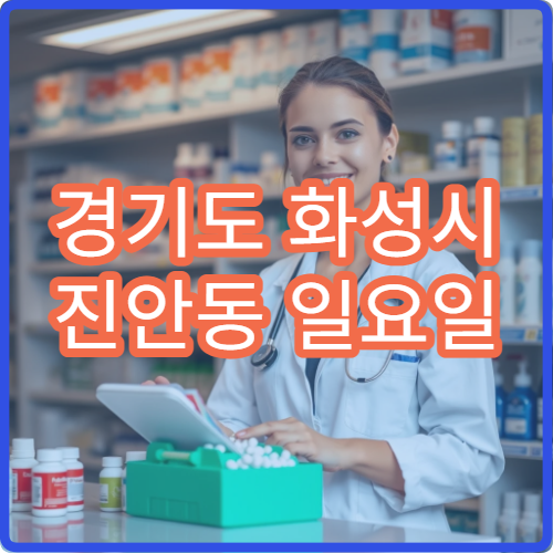 경기도 화성시 진안동 일요일 당번약국 안내 오늘 영업하는 약국 정보