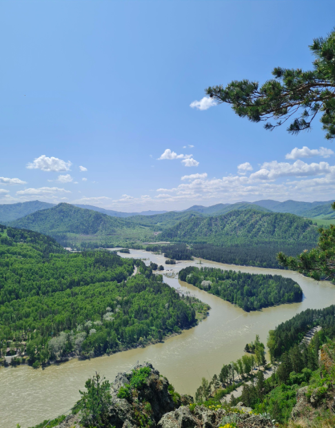 Долина Катуни и ландшафт района