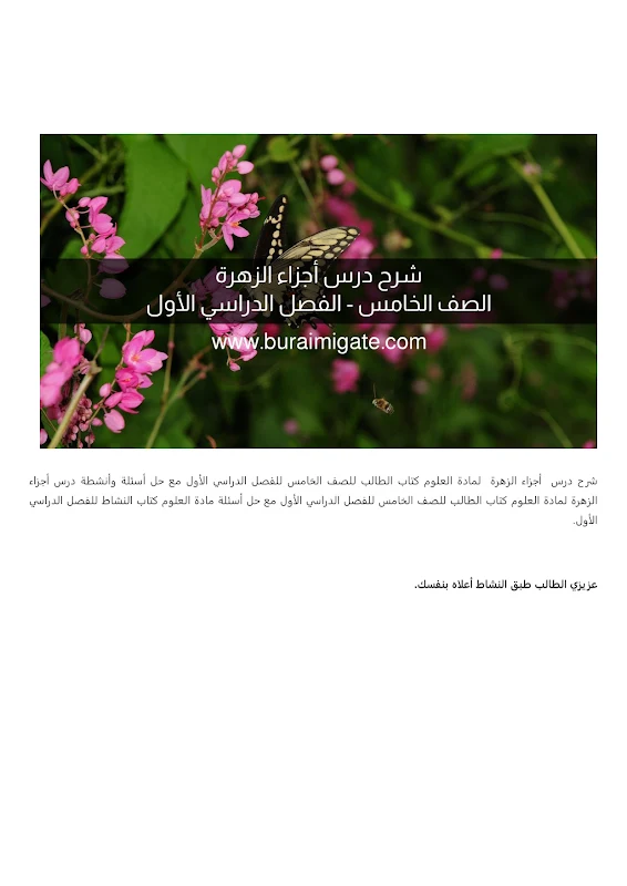صورة الغلاف