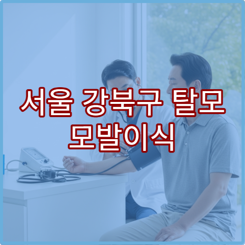 서울 강북구 탈모 모발이식 두피과 PRP치료 탈모클리닉 추천
