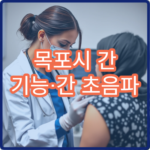 목포시 간 기능·간 초음파 검사가 가능한 병원