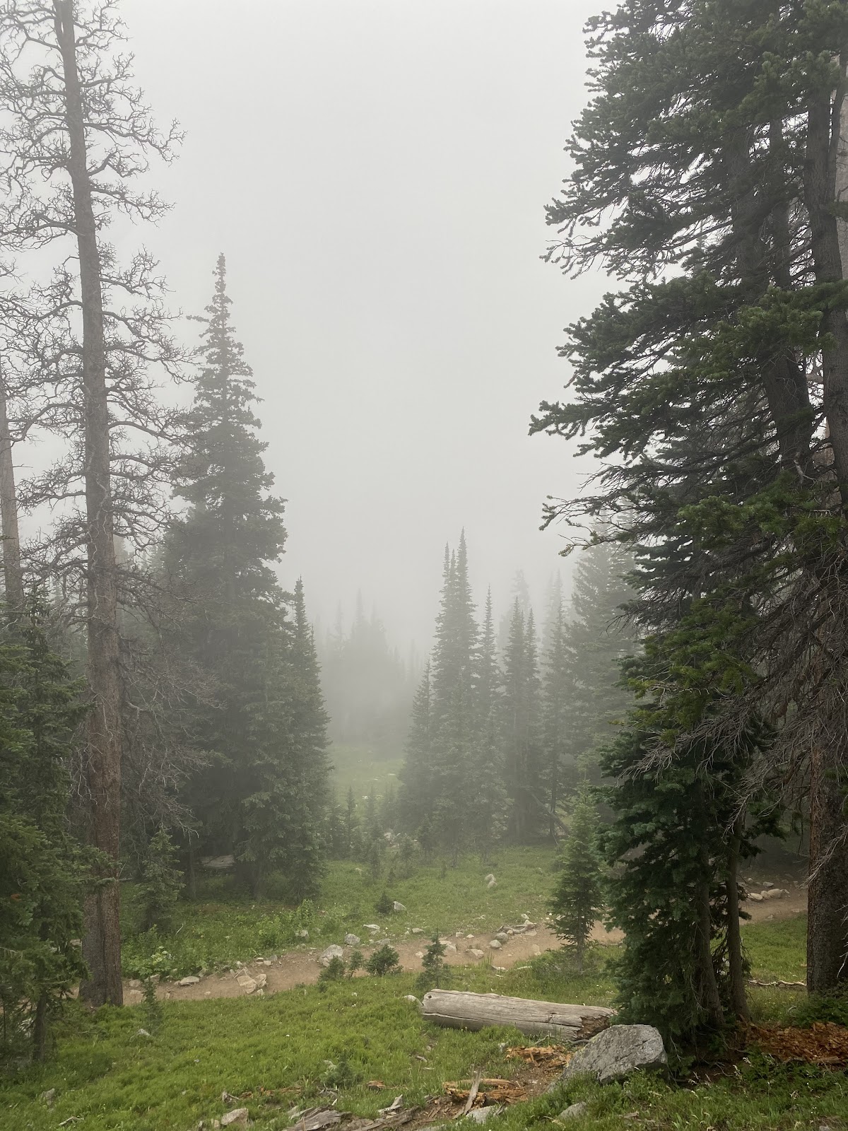 National Parks ash scattering — on-site ceremony documentation