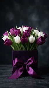 Deep Purple and White Tulips in a Dark Purple Box with Satin Ribbon