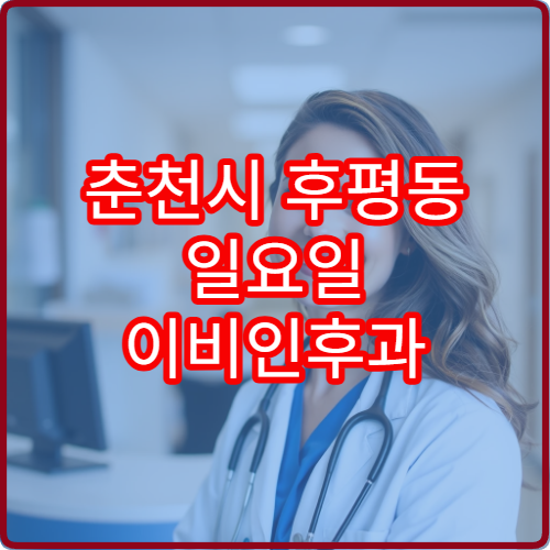 춘천시 후평동 일요일 이비인후과 휴일 진료 정보