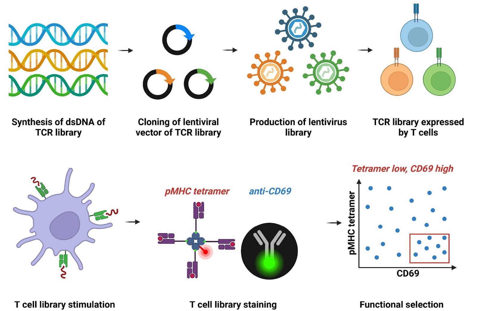 The recent advancement of TCR-T cell therapies for cancer treatment