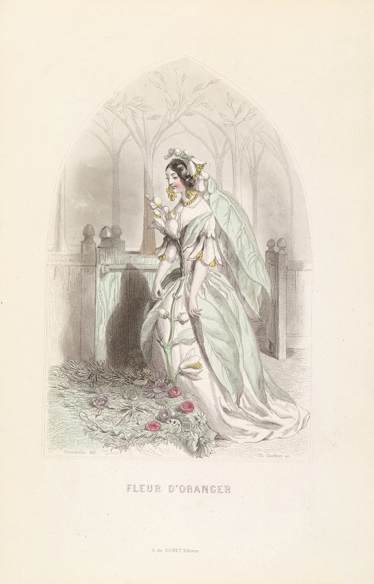 Fleur dOranger 1840s