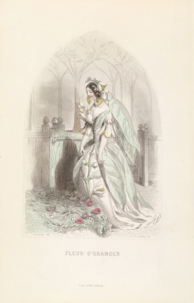 Fleur dOranger 1840s