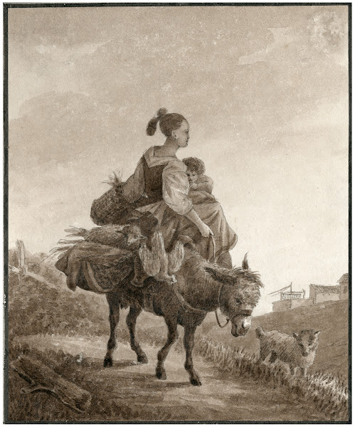 Rural & Country Life