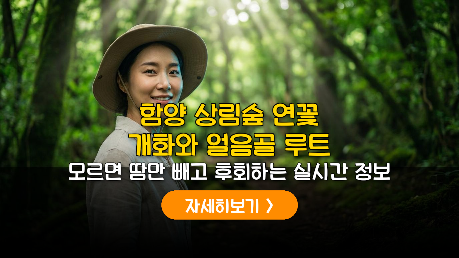 함양 상림숲 연꽃 개화 데이터와 시원한 숨은 루트 가이드