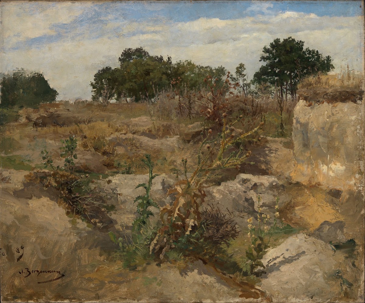 Disteln 1889