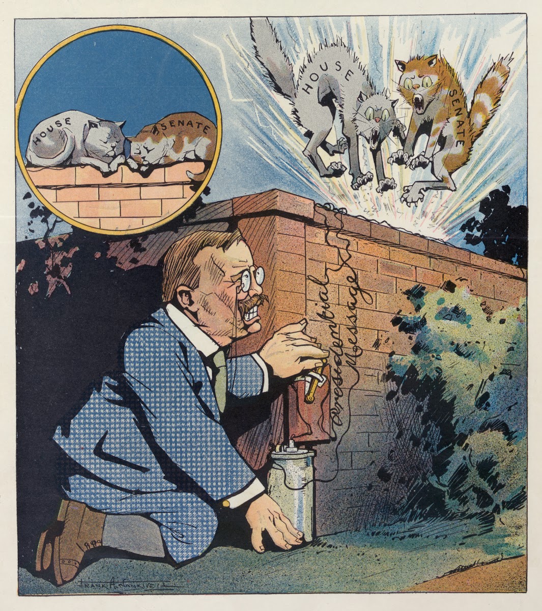 Rough on cats 1908