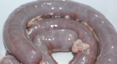 Nhồi hỗn hợp tiết vào ruột heo, dùng chỉ cột chặt 2 đầu lại. Dùng tăm đâm một số lỗ nhỏ trên dồi để giúp thoát khí. Nấu sôi một nồi nước, cho dồi heo vào luộc khoảng 20 phút cho chín.