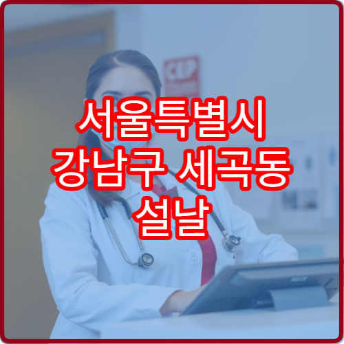 서울특별시 강남구 세곡동 설날 명절 연휴 영업약국 세곡동 GTX-C·헬스케어타운 인근 약국
