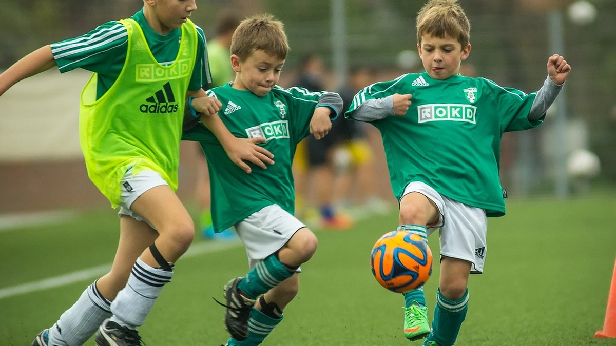 클라우드 네이티브 앱과 전통 앱 구조 차이와 장단점 분석