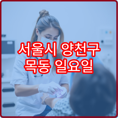 서울시 양천구 목동 일요일 진료 가능한 이비인후과 감기 비염 주말 진료 정보