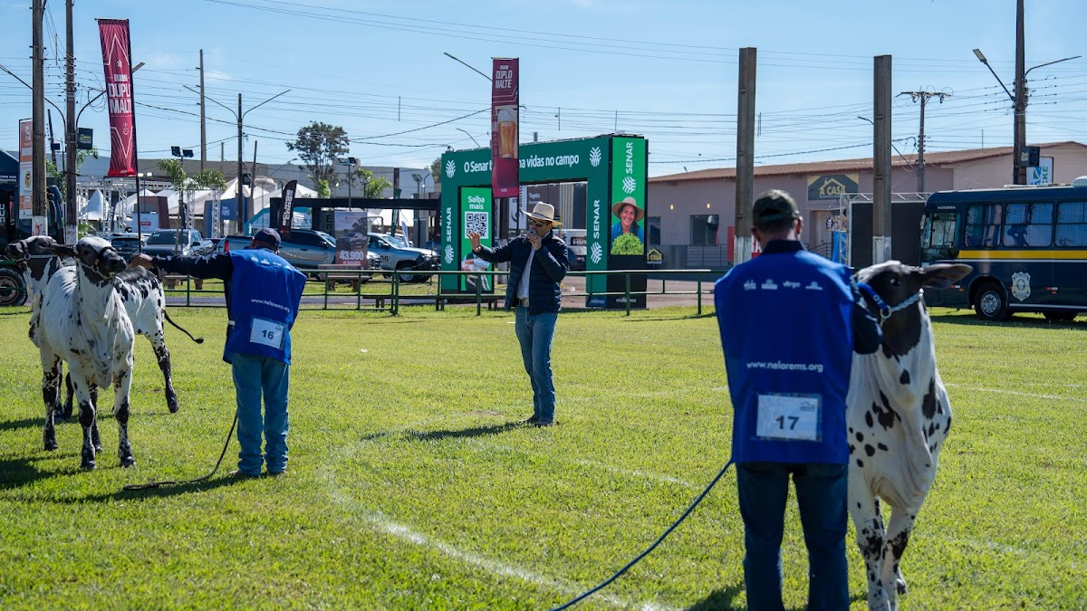 EXPOALAN 10 (5) - Expoagro 2026