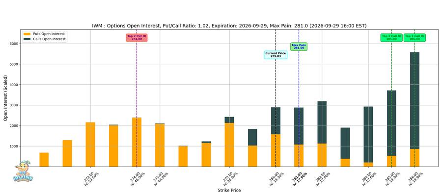 IWM Options