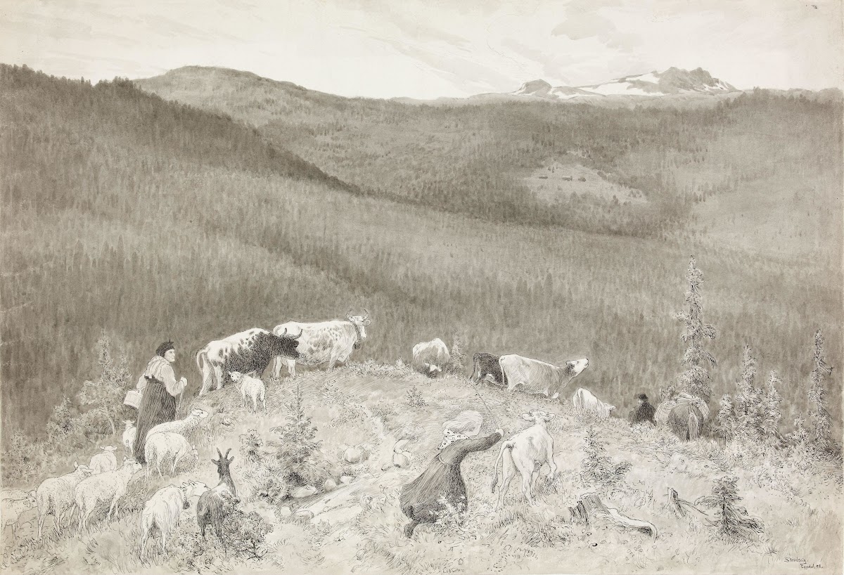 Buskapen drives til seters 1898