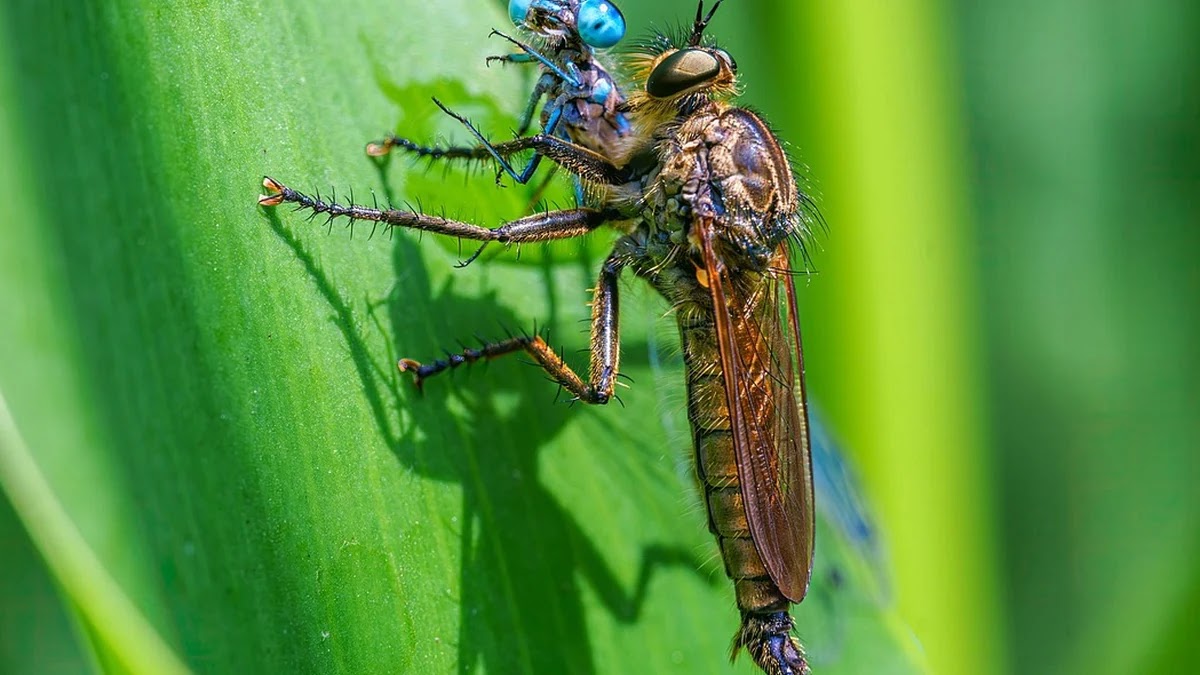 강화학습의 기본 개념과 주요 알고리즘 구조 이해하기