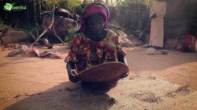 Documentaire de marque